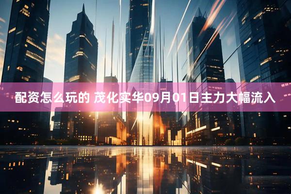 配资怎么玩的 茂化实华09月01日主力大幅流入