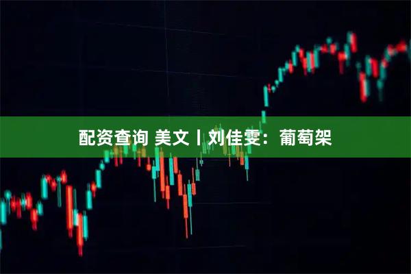 配资查询 美文丨刘佳雯：葡萄架