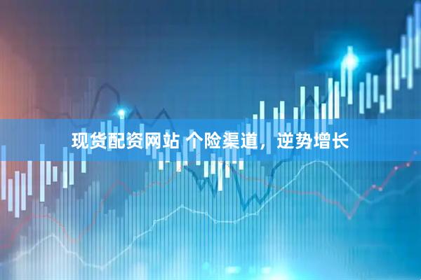 现货配资网站 个险渠道，逆势增长