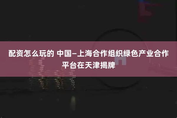 配资怎么玩的 中国—上海合作组织绿色产业合作平台在天津揭牌