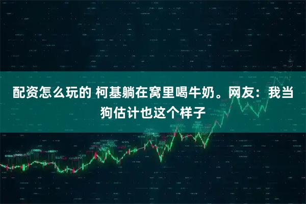 配资怎么玩的 柯基躺在窝里喝牛奶。网友：我当狗估计也这个样子