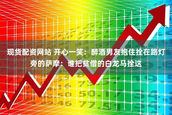 现货配资网站 开心一笑：醉酒男友抱住拴在路灯旁的萨摩：谁把贫僧的白龙马拴这