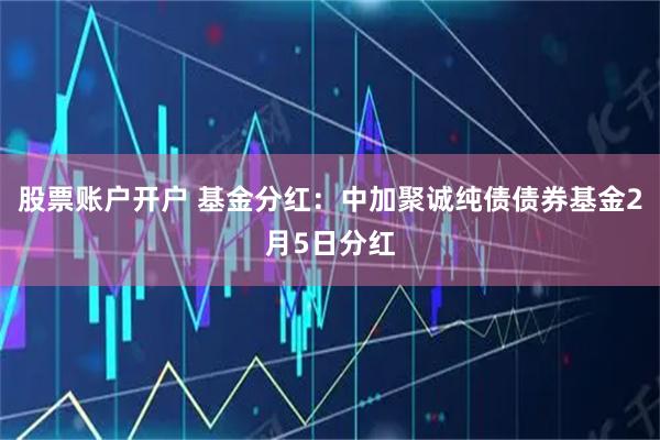 股票账户开户 基金分红：中加聚诚纯债债券基金2月5日分红